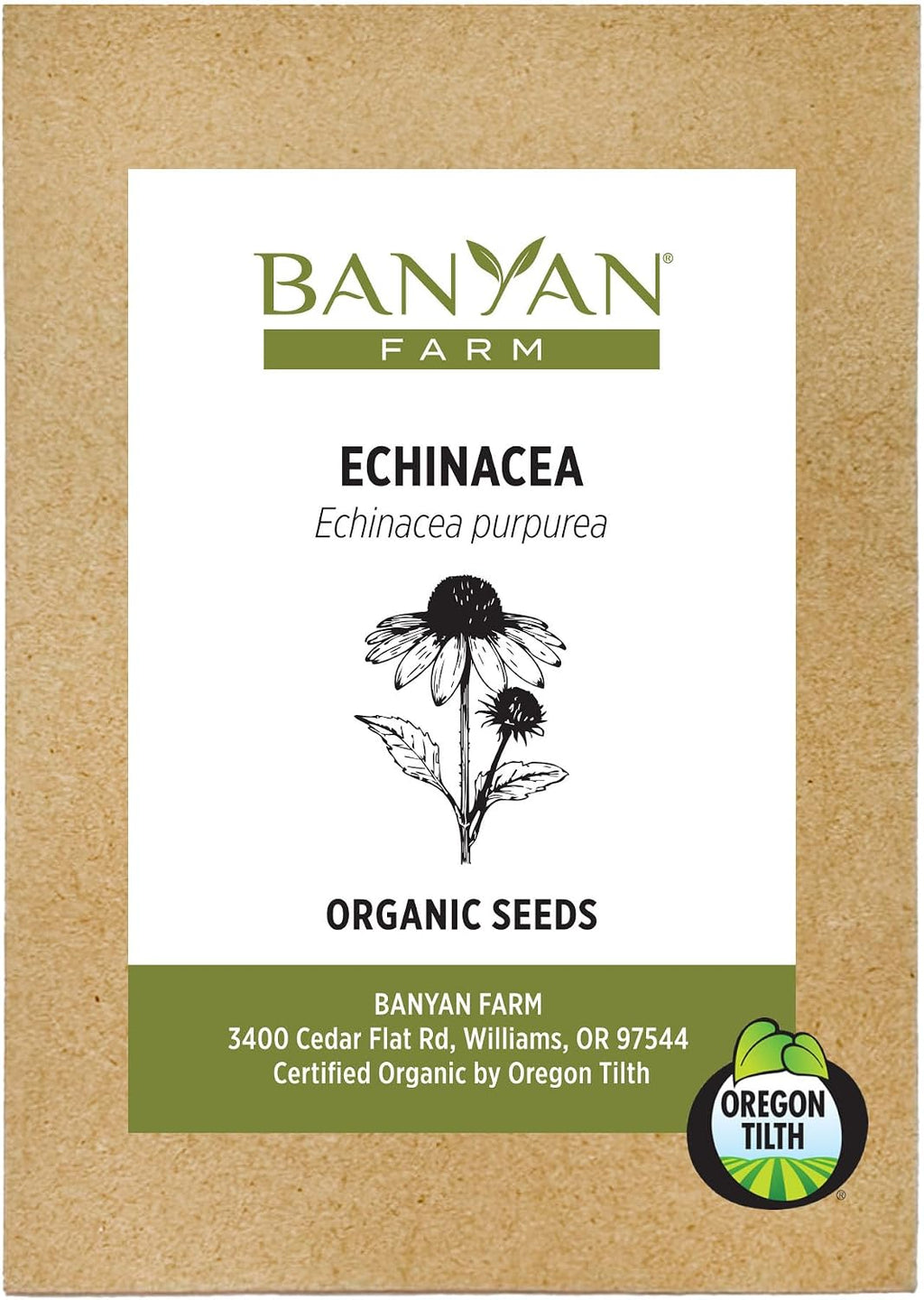 Banyan Botanicals Organic Echinacea Seeds – Easy-to-Grow Echinacea Purpurea – Attract Pollinators to Your Herb Garden – 25 Count – Open Pollinated Non-GMO