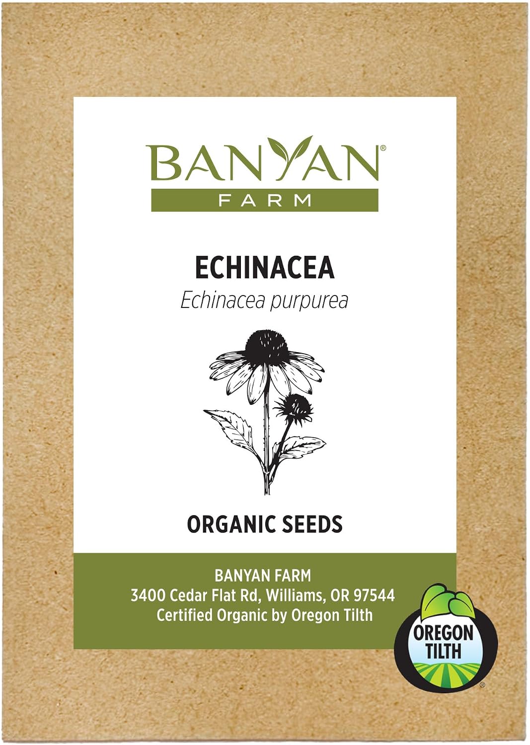 Banyan Botanicals Organic Echinacea Seeds – Easy-to-Grow Echinacea Purpurea – Attract Pollinators to Your Herb Garden – 25 Count – Open Pollinated Non-GMO