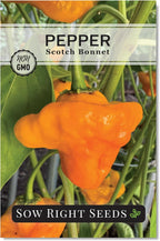 Sow Right Seeds - Scotch Bonnet Pepper Seeds for Planting - Hot Non-GMO Heirloom Pepper Variety - Ideal Chili Pepper Seeds for Spicy Harvest - High Scoville Rating - Ideal for Jamaican Cooking (1)
