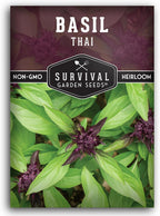 Thai Basil Seeds for Planting – Sweet Thai Basil with Anise Flavor for Asian Cooking – Heirloom Non-GMO Herb Seed for Indoor or Outdoor Gardens – Survival Garden Seeds (1 Pack)