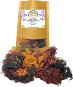 Wildcrafted Sea Moss | Gold - Purple - Mixed | 100% Natural Irish Moss from St.Lucia | Mineral-Rich Superfood | 16oz Sun-Dried Moss | NO Preservatives NO Chemicals (Mixed, 1 Pound)