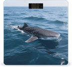 Whale Shark Bathroom Scale for Body Weight LCD Display Digital Bathroom Scale Tempered Glass Bathroom Weight Scales Fashion Smart Scales for Home Bedroom 400 Lb