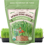 Seedboy Organic Wheatgrass Seeds - Hard Red Spring, Non-GMO, USA Grown Microgreens & Sprouting Seeds - 8 oz Bag Yields 5 Quarts (Hard Red Spring Wheatgrass)