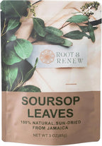 RootNRenew Soursop Leaves (Annona muricata) 3 oz, Whole, Naturally Dried Herbal Tea Leaves from Jamaica