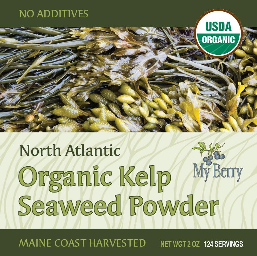 Organic Maine Coast Kelp Seaweed Powder 2oz by My Berry | Dark Green, Fresh Kelp Only | (Ascophyllum Nodosum) | US Atlantic Ocean Grown