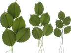 Global Sugar Art Rose Leaf Sugar Cake Flowers & Leaves Dark Green, 3 Sizes, 60 Count by Chef Alan Tetreault