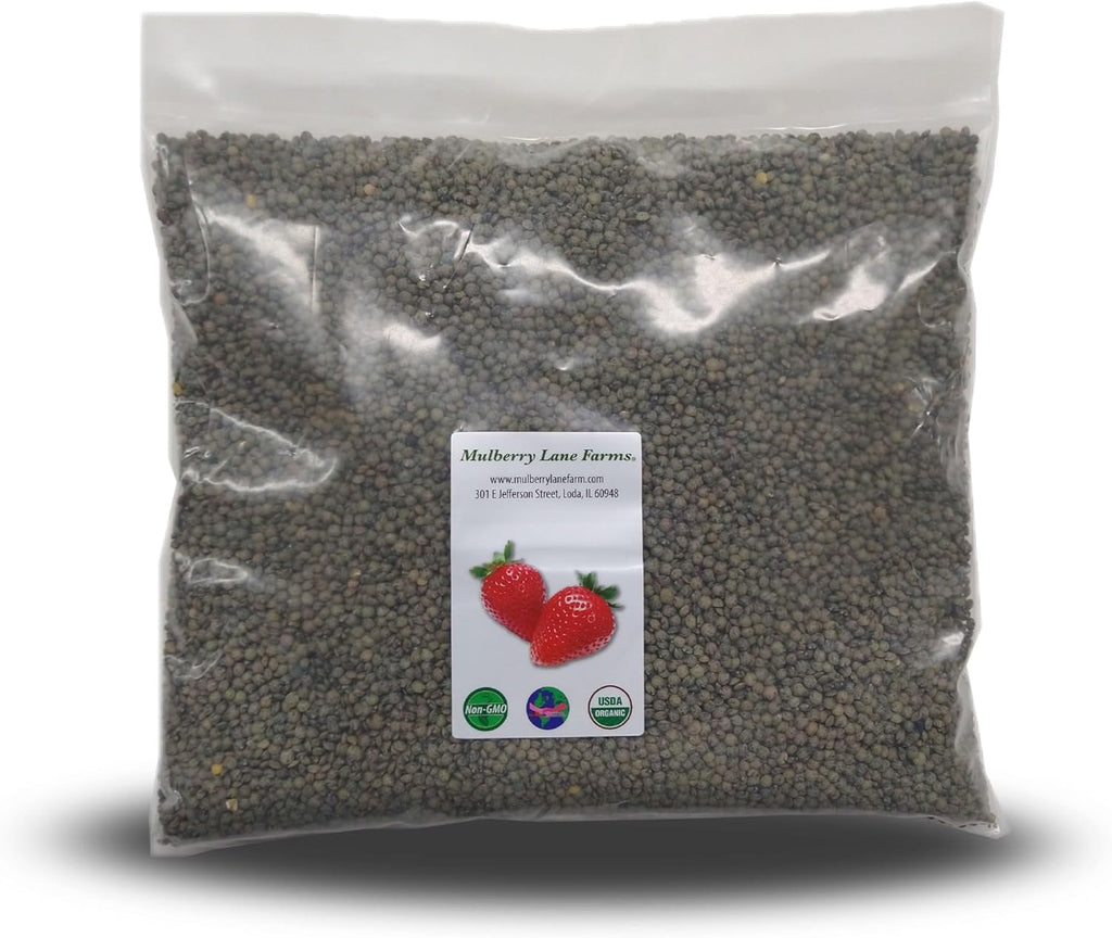 French Green Lentils 5 Pounds Petite, USDA Certified Organic, Non-GMO Bulk, Product of USA, Mulberry Lane Farms