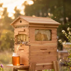 Bee Hive Starter Kit – Automatic Beehive Box Set for Easy Beekeeping, Complete Bee Hive Boxes for Beginners