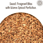 Pride of India - PACK of 6 - Cinnamon Bark Whole 0.8 oz (22.67 gm) Small Dual Sifter Bottle |Freshly Sourced from India |Gourmet Whole Spice |Strong Aroma |Perfect for Cooking & Baking|Easy to Use