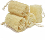 Natural Loofah Exfoliating Body Sponge Scrubber, Plant-Based Organic Loofa Luffa for Men & Women Skin Care Bath Shower Cleaning Back & Fac, Natural Sponges for Dishes (4", 4Pack)
