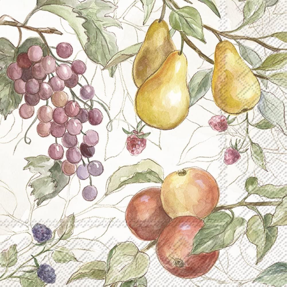 IHR Ideal Home Range Cocktail Napkins Disposable 3-Ply Paper Party Napkin Pack, 5" x 5", Country Fruits (Cream), 20-Count