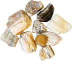 Crystal Allies Materials: 1 Pound Bulk Half Tumbled Petrified Wood Crystal Reiki Healing Stones Large 1"