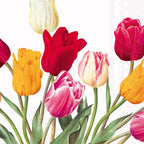 IHR 20-Count 3-Ply Lunch Paper Napkins, 6.5 x 6.5-Inches, Tulips White