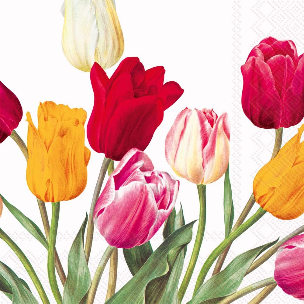 IHR 20-Count 3-Ply Lunch Paper Napkins, 6.5 x 6.5-Inches, Tulips White