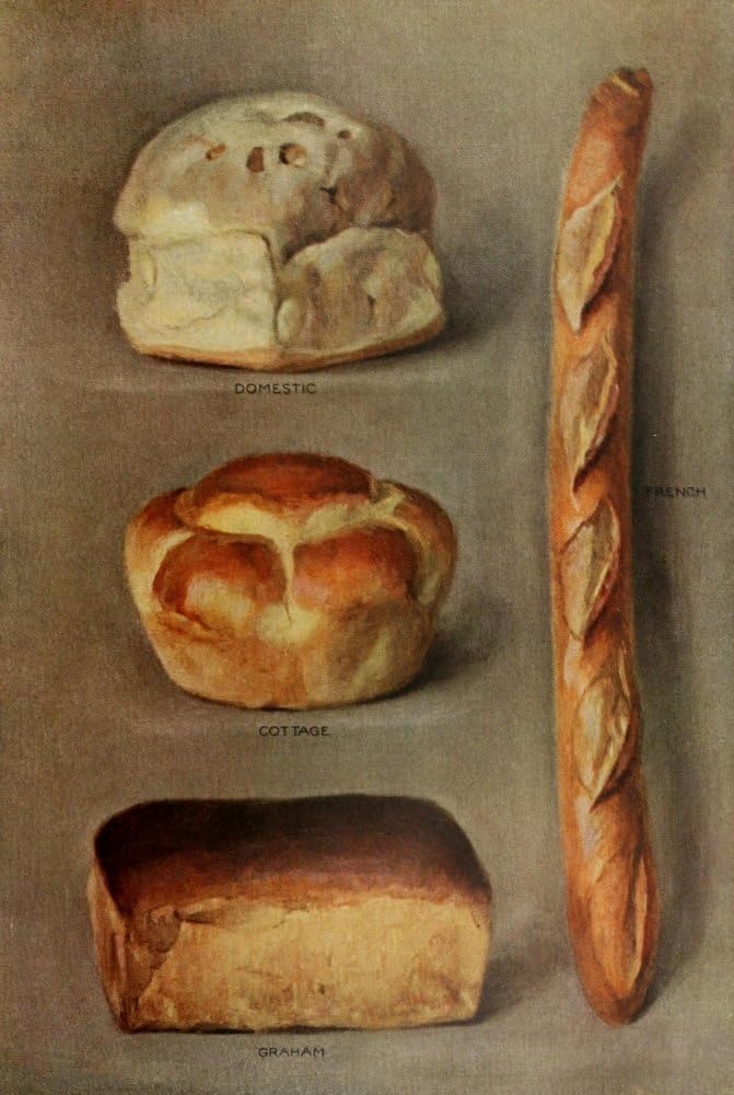 The Grocers Encyclopedia 1911 Bread Poster Print by Unknown (18 x 24)