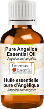 Greenwood Essential Angelica Essential Oil (Angelica archangelica) Pure | Non-Sticky | Non-Greasy | Lightweight | Men & Women | All Skin Types | Steam Distilled 5ml (0.16 oz)