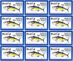 Matiz España Bonito Del Norte, 4 Ounce, White Meat Tuna in Olive Oil (12 Tins)