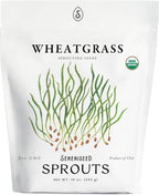 Organic Wheatgrass Seeds (16 oz) – Non-GMO, Heirloom Seeds for Sprouting and Microgreens