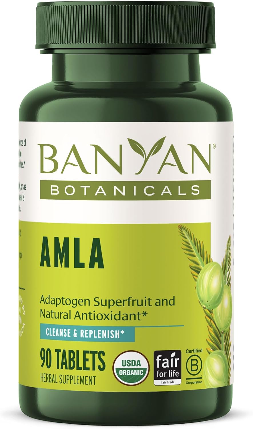 Banyan Botanicals Organic Amla Tablets - Natural Vitamin C for Collagen Support & Immune Health - Amalaki Indian Gooseberry for Glowing Skin, Hair & Healthy Digestion - 90 Tablets - Non-GMO, Vegan*
