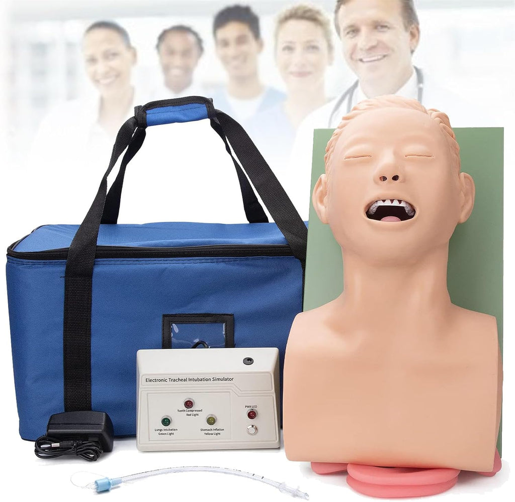 Adult Intubation Manikin Model, Oral Nasal Tracheal Intubation Simulation Airway Management Trainer for Professional Nurse Emergency Education