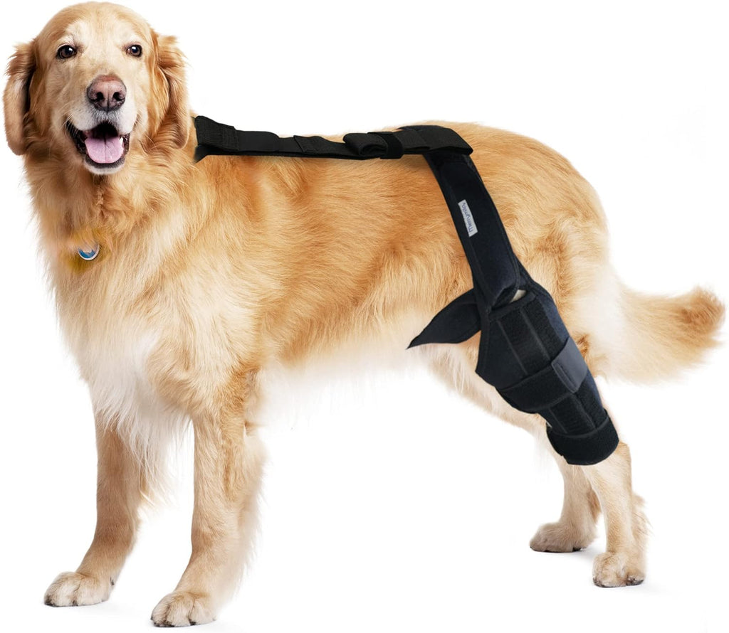 Dog Knee Brace for Torn ACL & Hind Leg Support – Adjustable Dog Hip & Leg Brace for Cruciate Ligament, Arthritis Relief, Joint Stability & Injury Recovery, Size: S