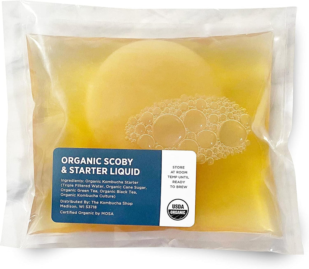 Organic SCOBY Kombucha Starter Kit with Live Culture for Brewing Kombucha Tea - Urban Kitchen