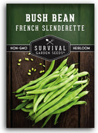 French Slenderette Green Bean Seeds for Planting - Haricot Vert Filet Bush Beans - Thin Tender Stringless Pods - Non-GMO Heirloom Gourmet Vegetable for Gardens - Survival Garden Seeds (1 Pack)