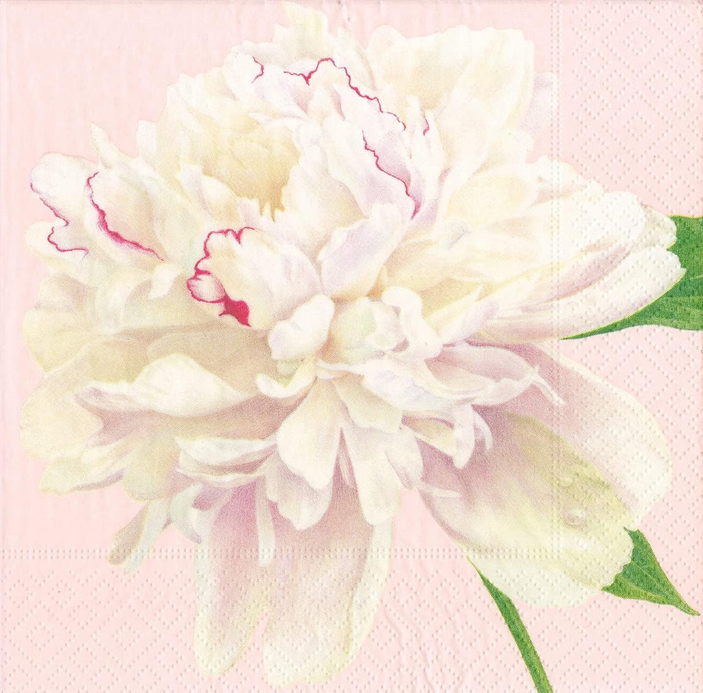 Caspari Duchess Peonies Paper Cocktail Napkins in Blush, 20 Per Package
