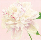 Caspari Duchess Peonies Paper Cocktail Napkins in Blush, 20 Per Package