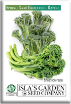 Spring Raab Broccoli Seeds (aka Rabe, Rapini, Broccolini) – 300+ Non-GMO & Heirloom Seeds, Brassica oleracea, Fast-Maturing Cool Season Green, by Isla’s Garden Seeds, Gift Idea for Home Gardens