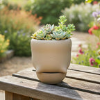Funny Toilet Tray Flower Pot - 1Pcs Creative Mocha Ceramic Face Cactus Planter Pots Flower Container Cute Succulent Planter Pot with Drainage Tray for Garden Home Office Decor Plant Lover Gift