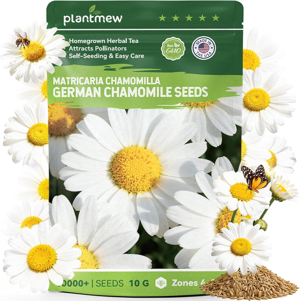German Chamomile Seeds for Planting - 10,000+ Heirloom Seeds (Matricaria chamomilla), Homegrown Herbal Tea, Attracts Pollinators, Self-Seeding, USDA Zones 4-9, Medicinal Herb