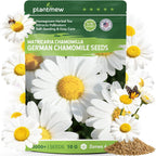 German Chamomile Seeds for Planting - 10,000+ Heirloom Seeds (Matricaria chamomilla), Homegrown Herbal Tea, Attracts Pollinators, Self-Seeding, USDA Zones 4-9, Medicinal Herb