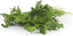 Organic Italian Parsley, 1 Bunch