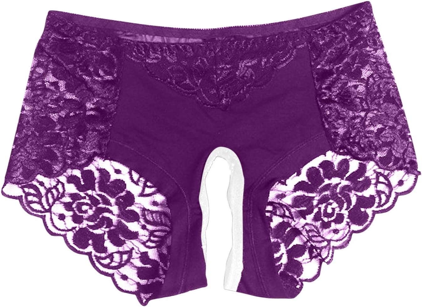 Womens Sexy Cheeky Underwear Seamless Panties Mesh Lace Bikini Briefs See Through Sheer Slutty Naughty Sex Lingerie