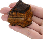 XIANNVXI Tigers Eye 1.8-2.2" Large Raw Crystals and Healing Stones Natural Rough Crystal Rocks for Decor Gifts Tumbling Cabbing Polishing Fountain Rocks 1PCS
