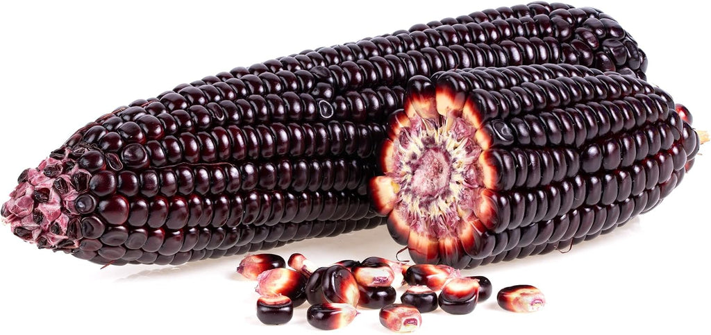 Rare Purple Popcorn Seeds for Planting - 50 Seeds to Grow This Exotic Edible Corn