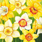 IHR Ideal Home Range Cocktail Napkins Disposable 3-Ply Paper Party Napkin Pack, 5" x 5", Daffodils Field, 20-Count