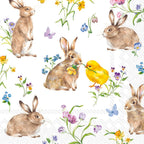 IHR Ideal Home Range Cocktail Napkins Disposable 3-Ply Paper Party Napkin Pack, 5" x 5", Easter Friends (White), 20-Count