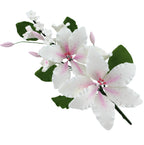 Global Sugar Art Double Rubrum Lily Sugar Cake Flowers Cake Topper Spray, White with Pink, 1 Count by Chef Alan Tetreault