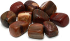 CrystalAge Fossil Wood Tumble Stone (20-25mm)