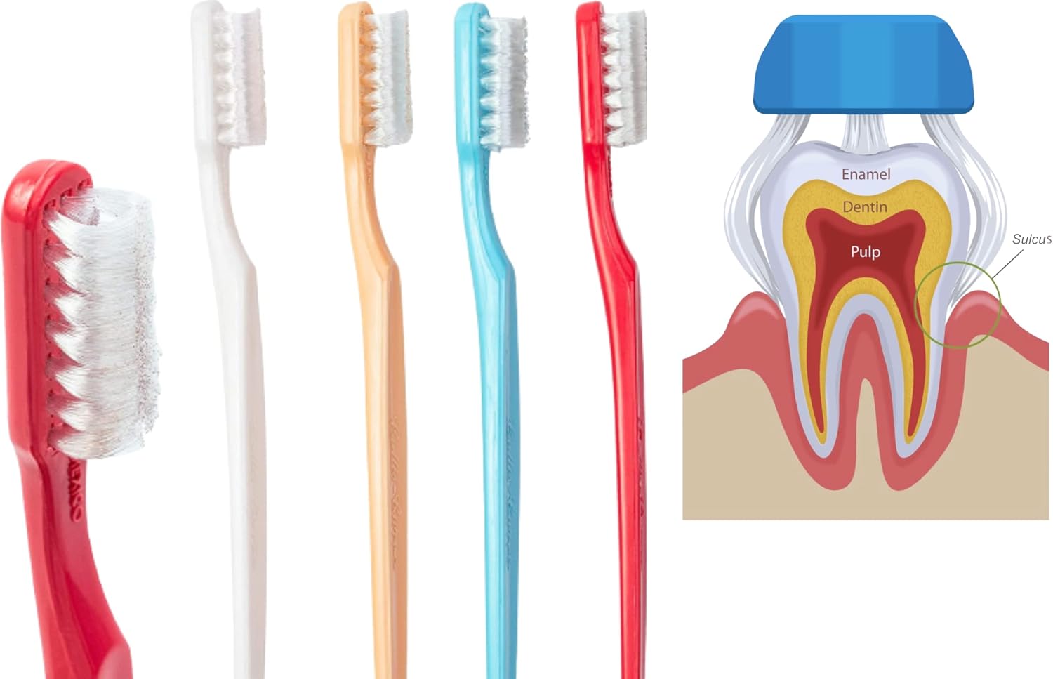 Collis Curve - Soft 3 Sided Toothbrush - Orthodontic Toothbrushes - Soft Bristle Toothbrush for Sensitive Gums, Bleeding Gums, Braces, Autistic, Adults and Children's Over 13 Years (Pack 4)