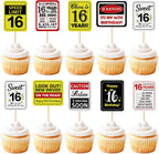 36Pcs 16th Birthday Card Cupcake Toppers Cheers to 16 Years Sweet 16 Speed Limit 16 It's My 16th Sixteen and Driving Soon Birthday Cupcake Picks Funny Birthday Anniversary Paper Cards Decorations