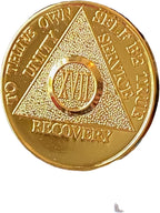 46 Year AA Medallion Glossy Gold Color Sobriety Chip