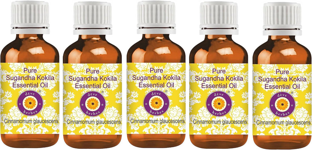 Deve Herbes Pure Sugandha Kokila Essential Oil (Cinnamomum glaucescens) Steam Distilled (Pack of Five) 100ml X 5 (16.9 oz)