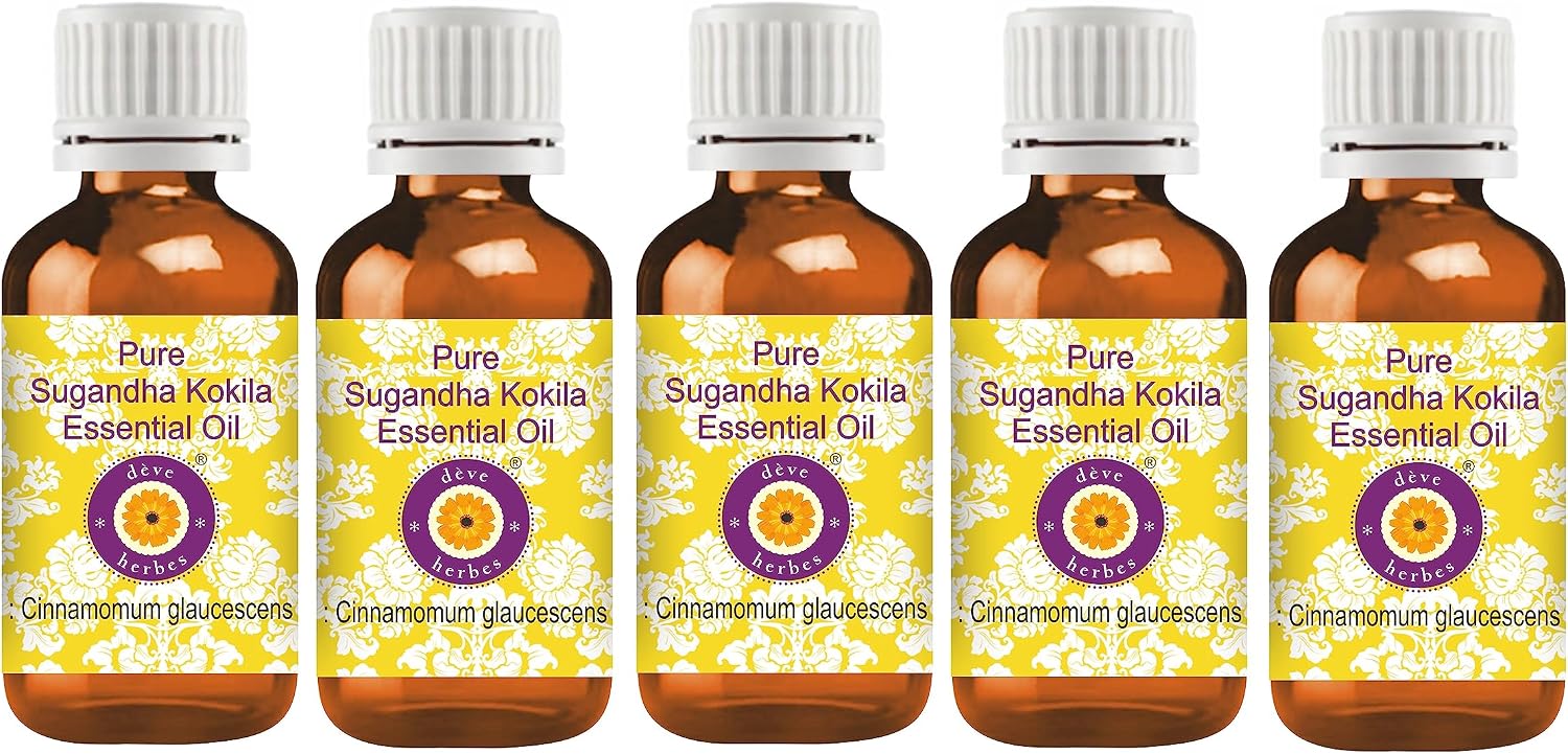 Deve Herbes Pure Sugandha Kokila Essential Oil (Cinnamomum glaucescens) Steam Distilled (Pack of Five) 100ml X 5 (16.9 oz)