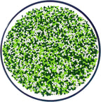 Sentovac Green and White Nonpareils Sprinkles St Patricks Edible 2mm Mini Peals Sprinkle for Cake Decorating Sugar Candy Cookie Cupcake Topper Baking Decorations Christmas St Patricks Supplies