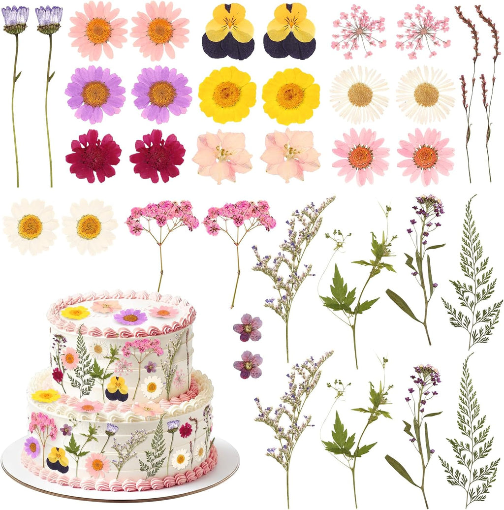 36PCS Real Dried Pressed Flowers Cake Toppers Natural Dried Wildflower Baby in Bloom Baby Shower Cake Toppers for Women Birthday Bridal Shower Wedding DIY Floral Party Decoration
