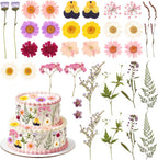 36PCS Real Dried Pressed Flowers Cake Toppers Natural Dried Wildflower Baby in Bloom Baby Shower Cake Toppers for Women Birthday Bridal Shower Wedding DIY Floral Party Decoration