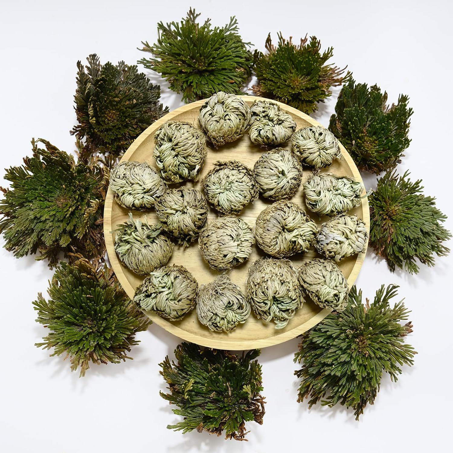 11 Pack Rose of Jericho Resurrection Plants, 1–2 Inch Rosa de Jerico Original, Unfolds in Water, Dried Fern Prayer Plants for Spiritual Purification, Home Decor , Gift for Plant Lovers